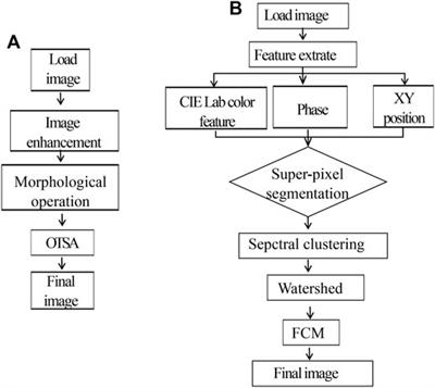 Automatic and Label-Free Analysis of the Microstructure Feature Differences Between Normal Brain Tissue, Low-Grade, and High-Grade Gliomas Using the Combination of Multiphoton Microscopy and Image Analysis